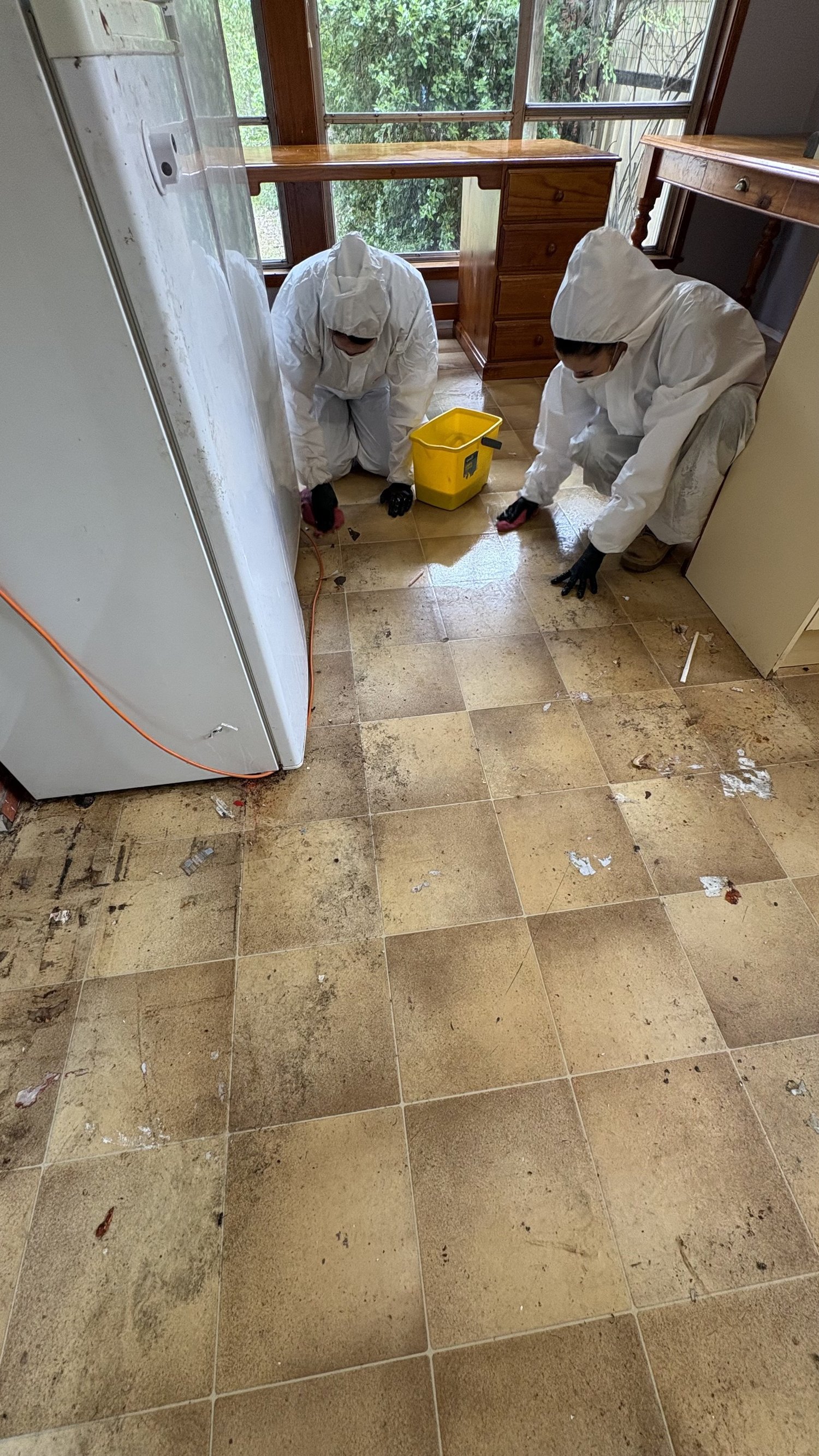 Murray’s cleaner carrying out cleaning support in a home